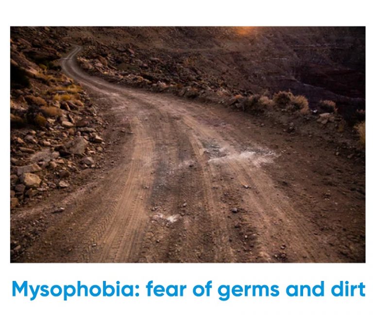 What is my biggest phobia? Fear of germs and dirt Iq test for free